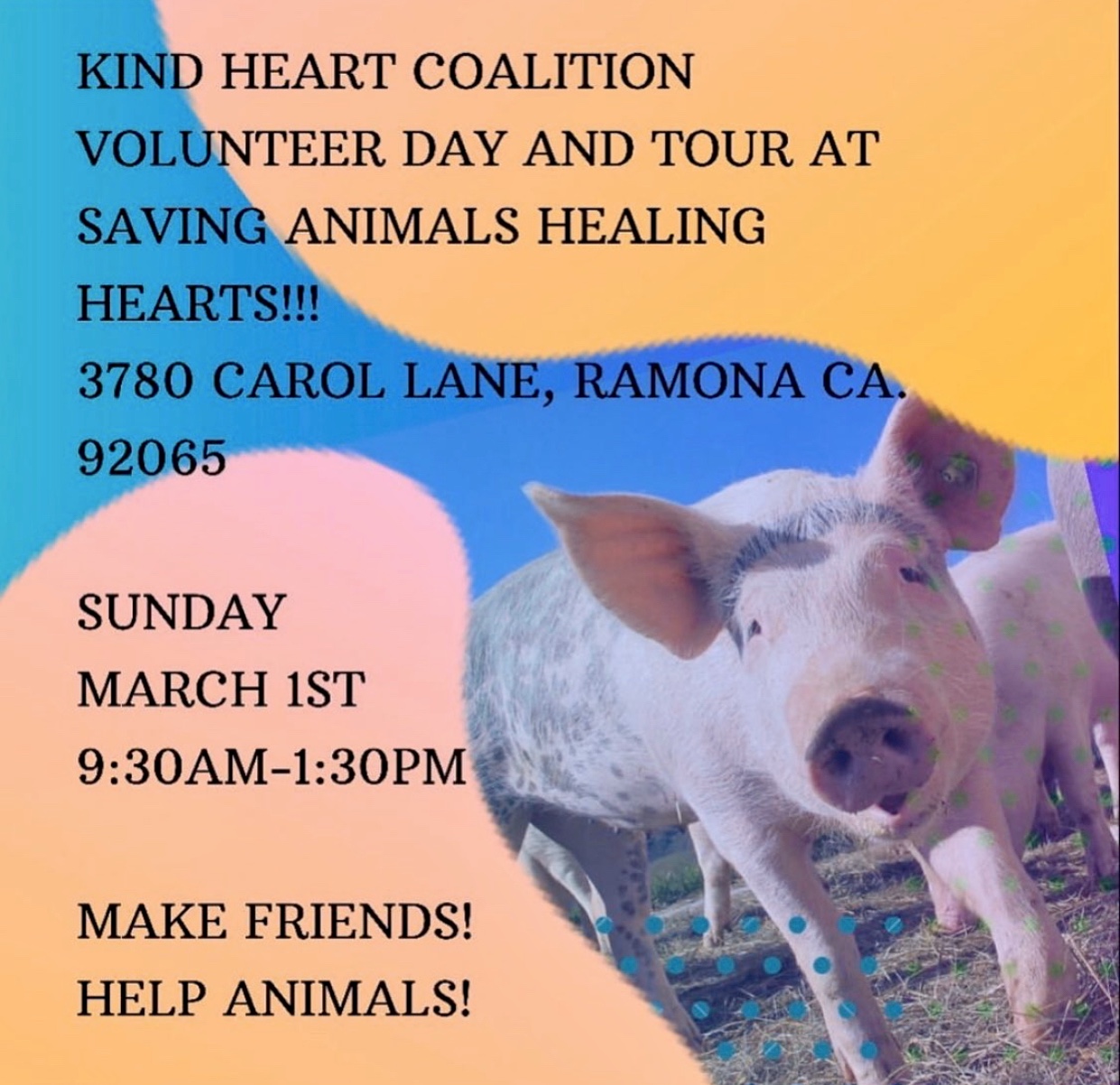 Volunteer Day with Kind Heart Coalition!