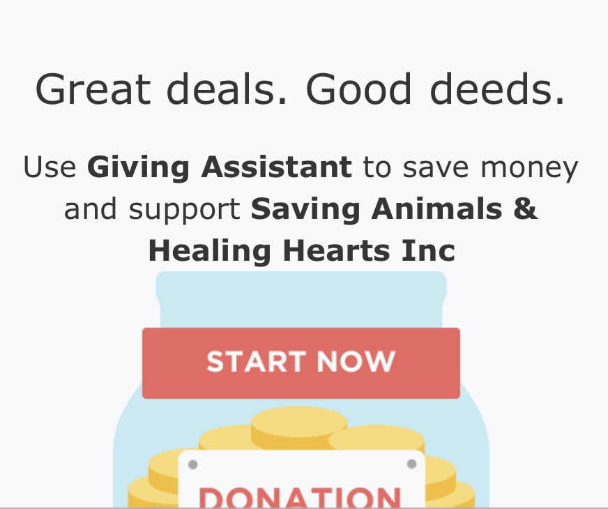 Great Deals!