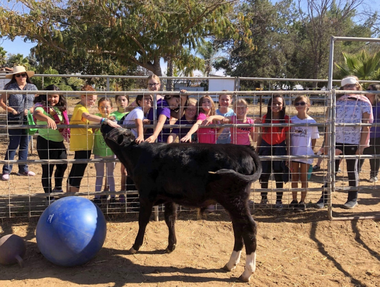 Girl Scouts Tour & Volunteer Day