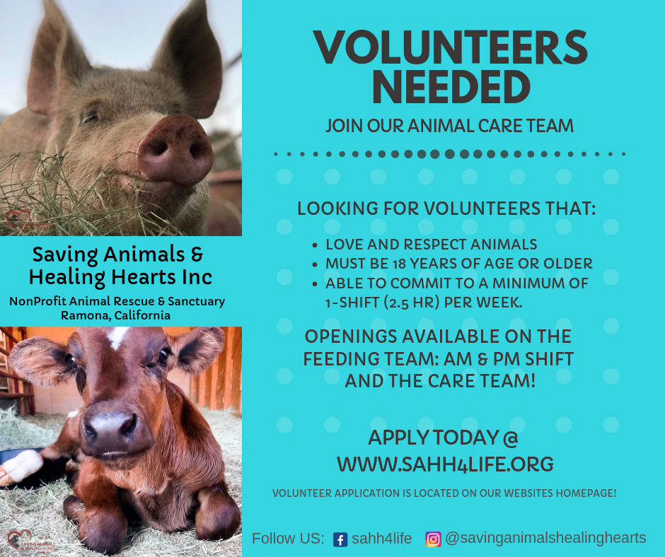 Join Our Animal Care Team