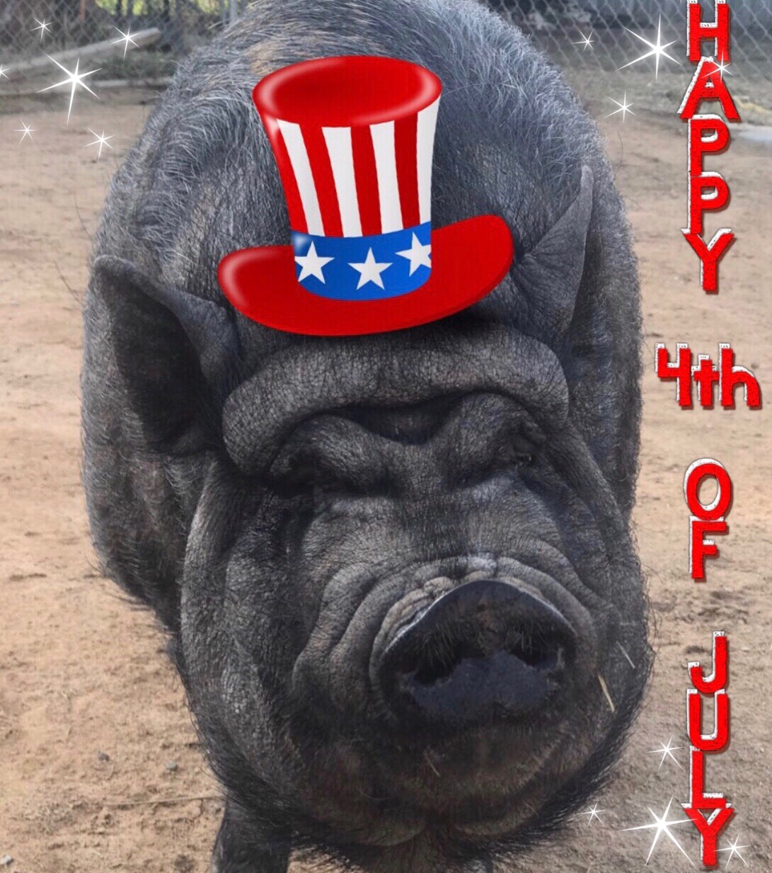 Happy Fourth Of July