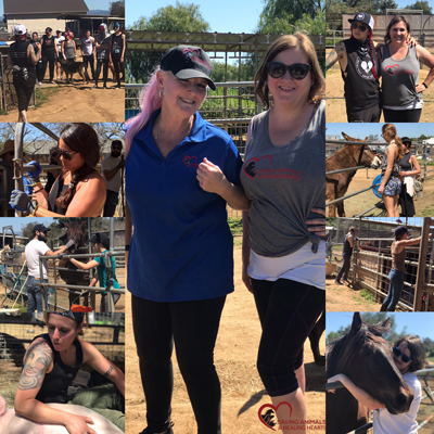 Volunteer Day with Kind Heart Coalition