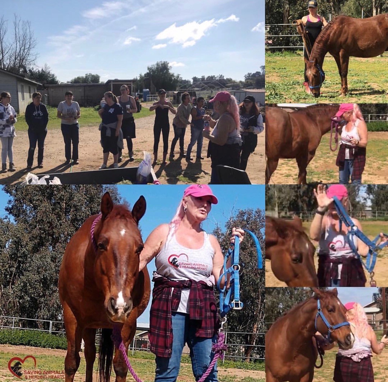 Volunteer Training Class