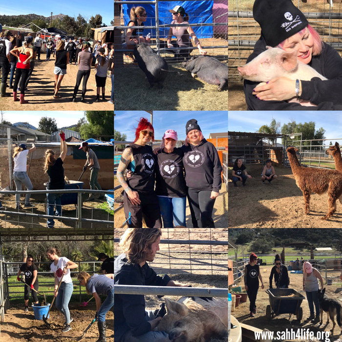 Volunteer Day at SAHH