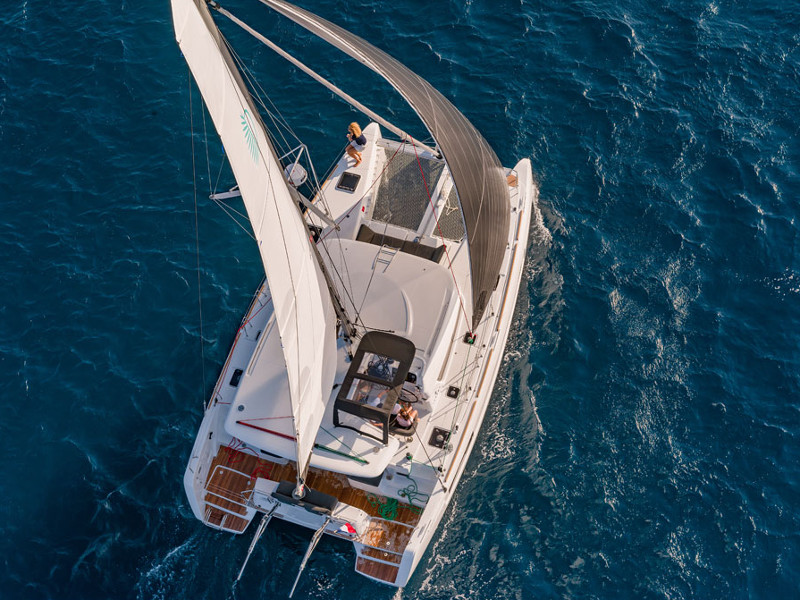 Monarch 5