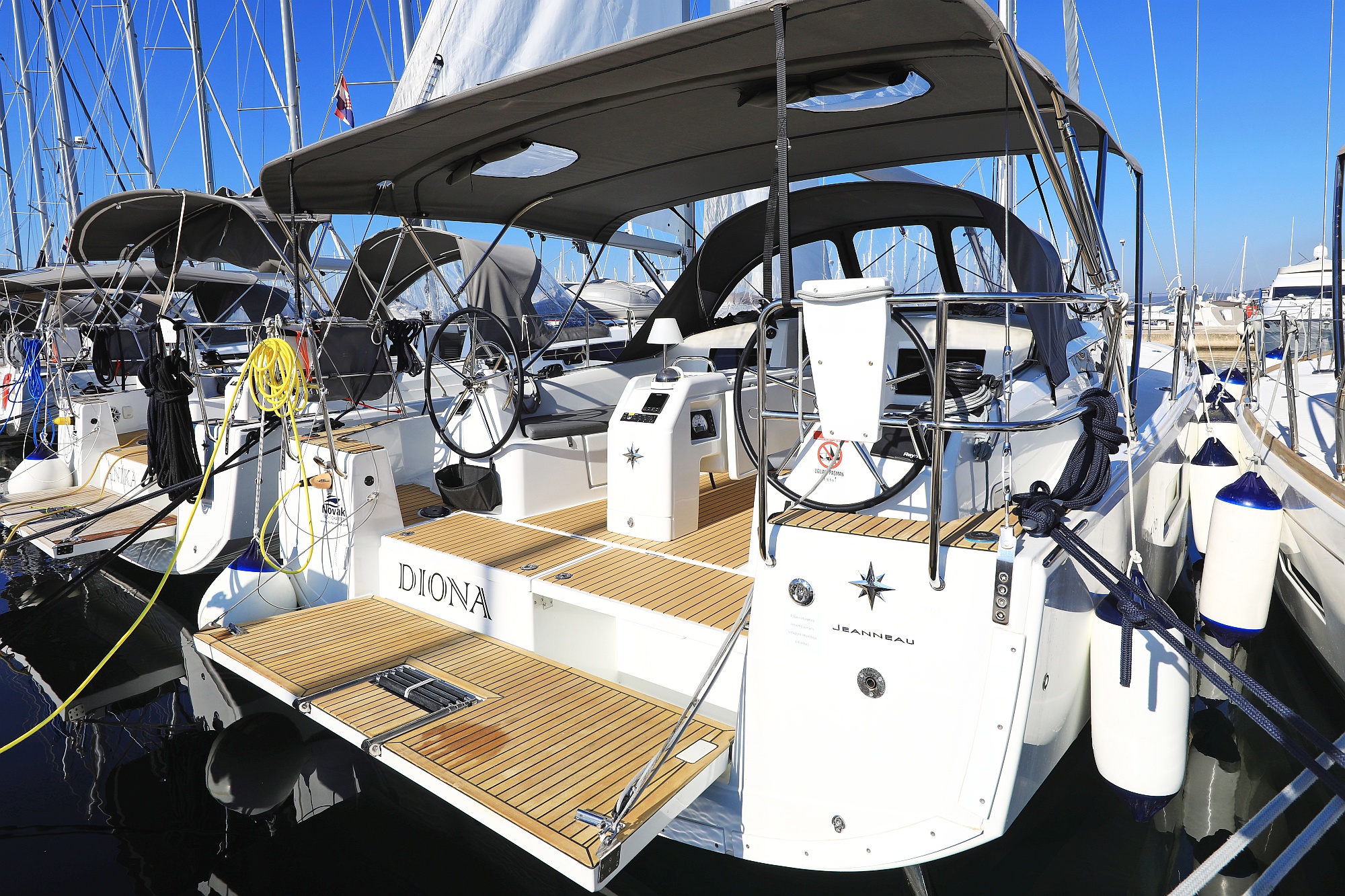 Diona 1