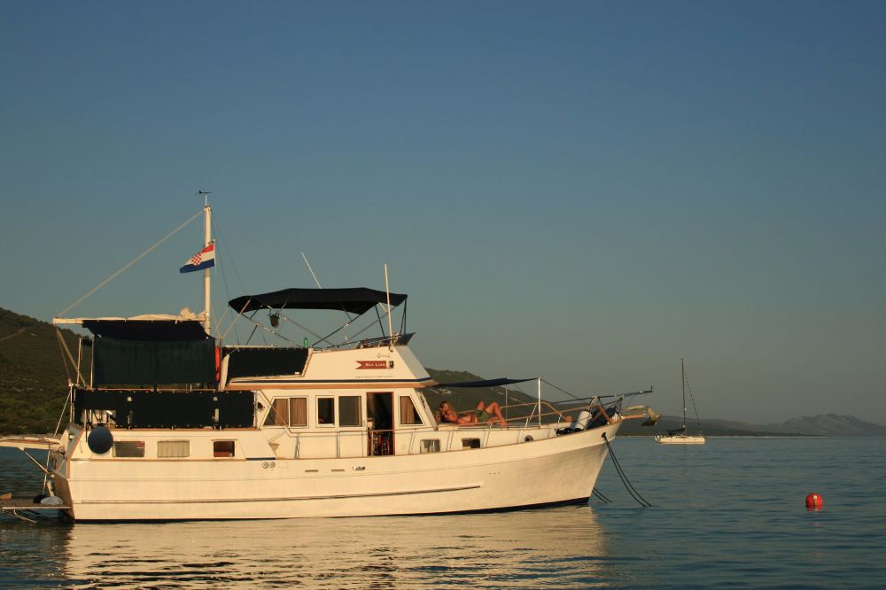 Sea Lion 1