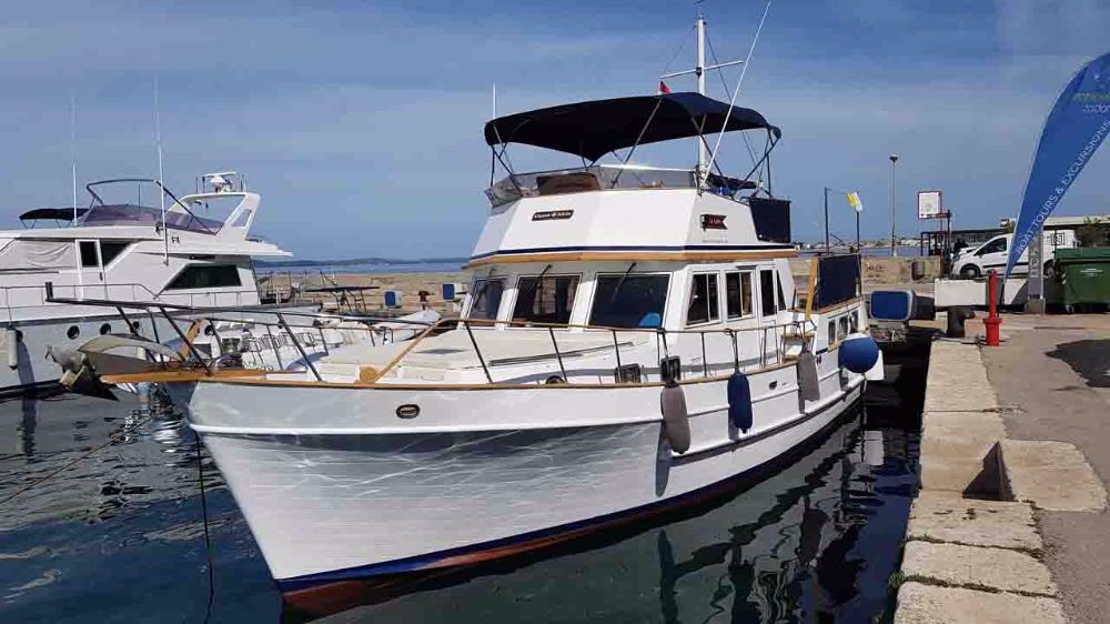 Sea Lion 3