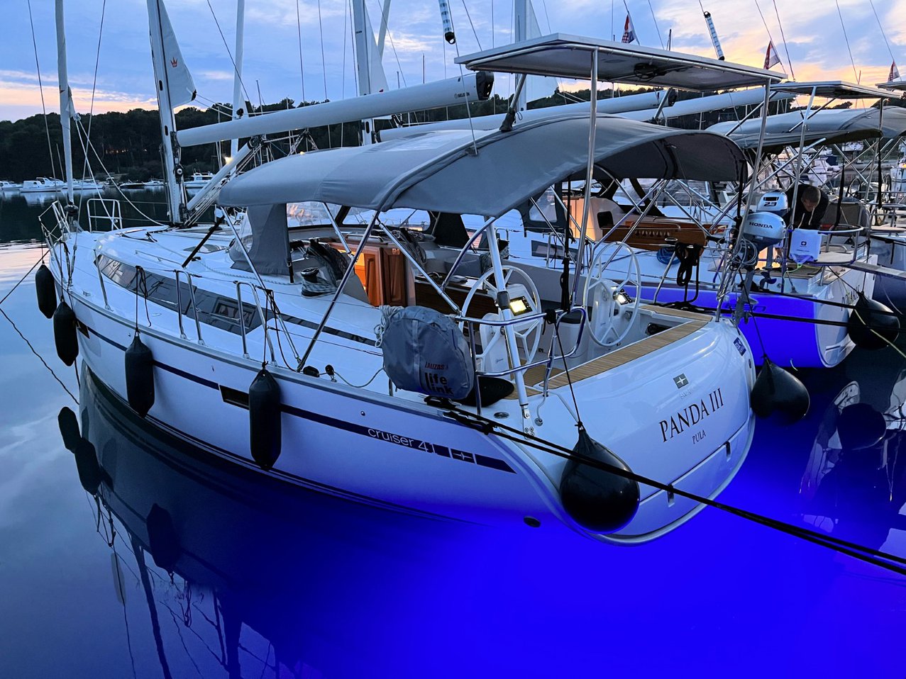 Panda III 2