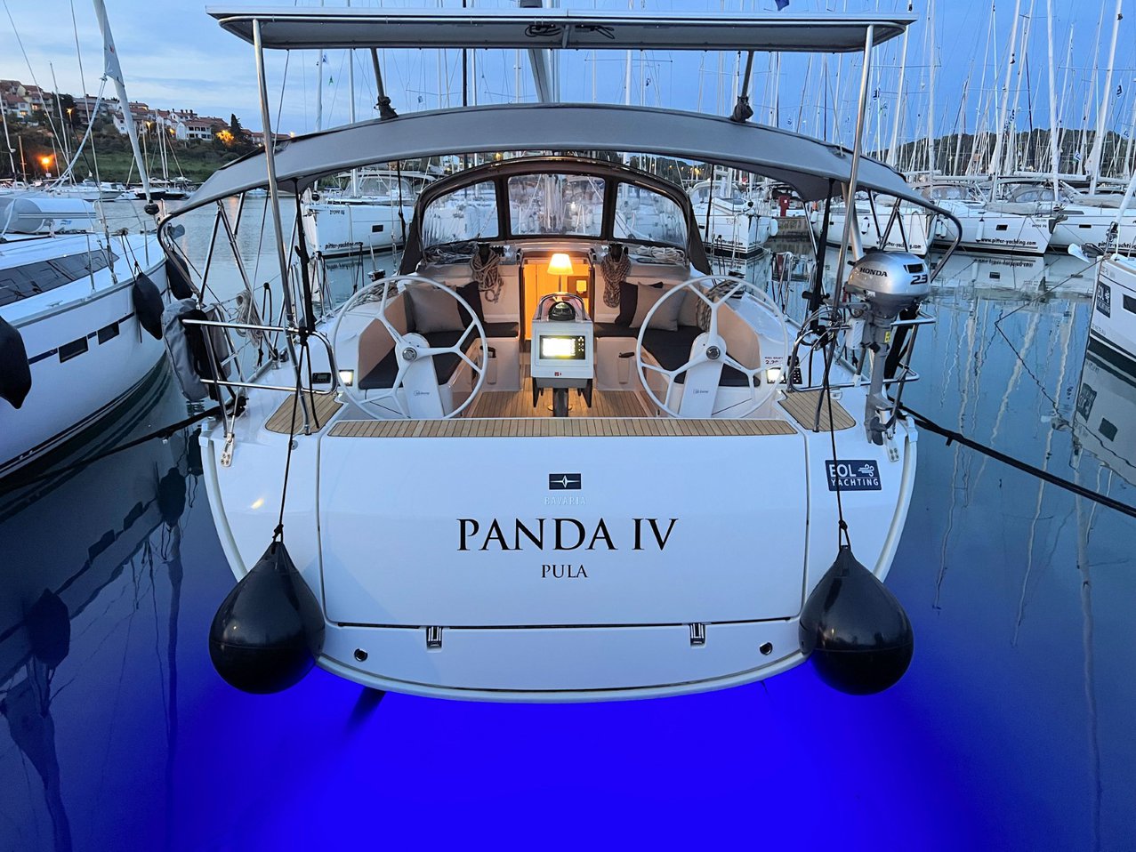 Panda IV 1