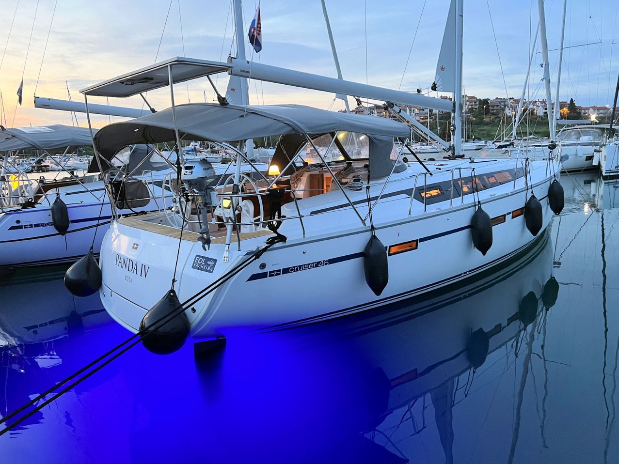 Panda IV 2