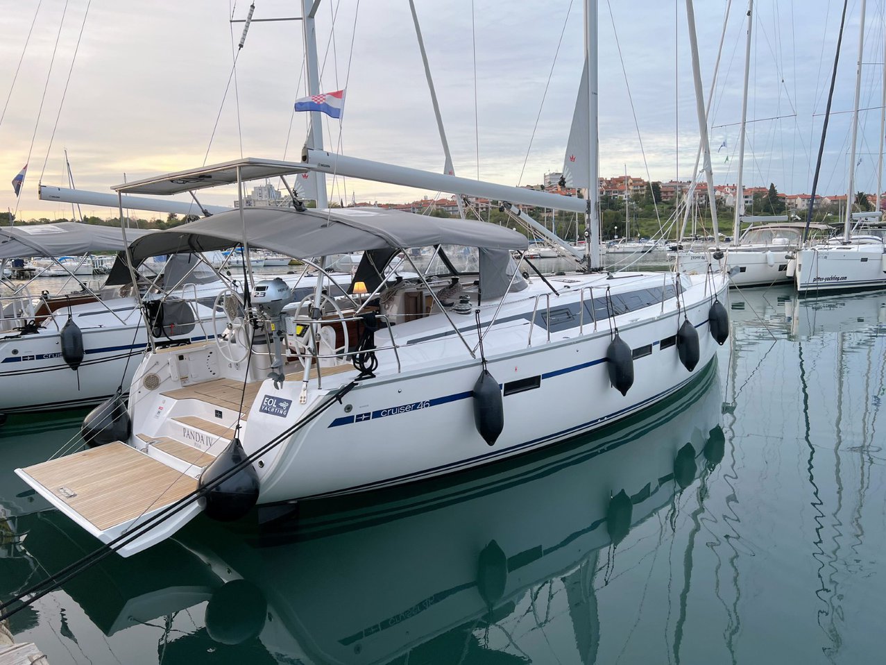 Panda IV 5
