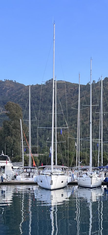B-Line 4