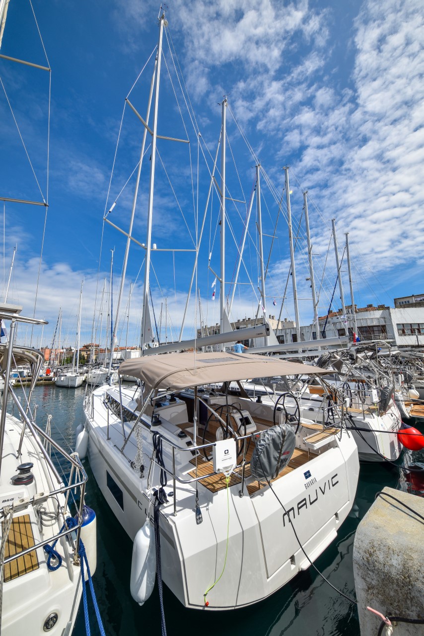 Mauvic 4