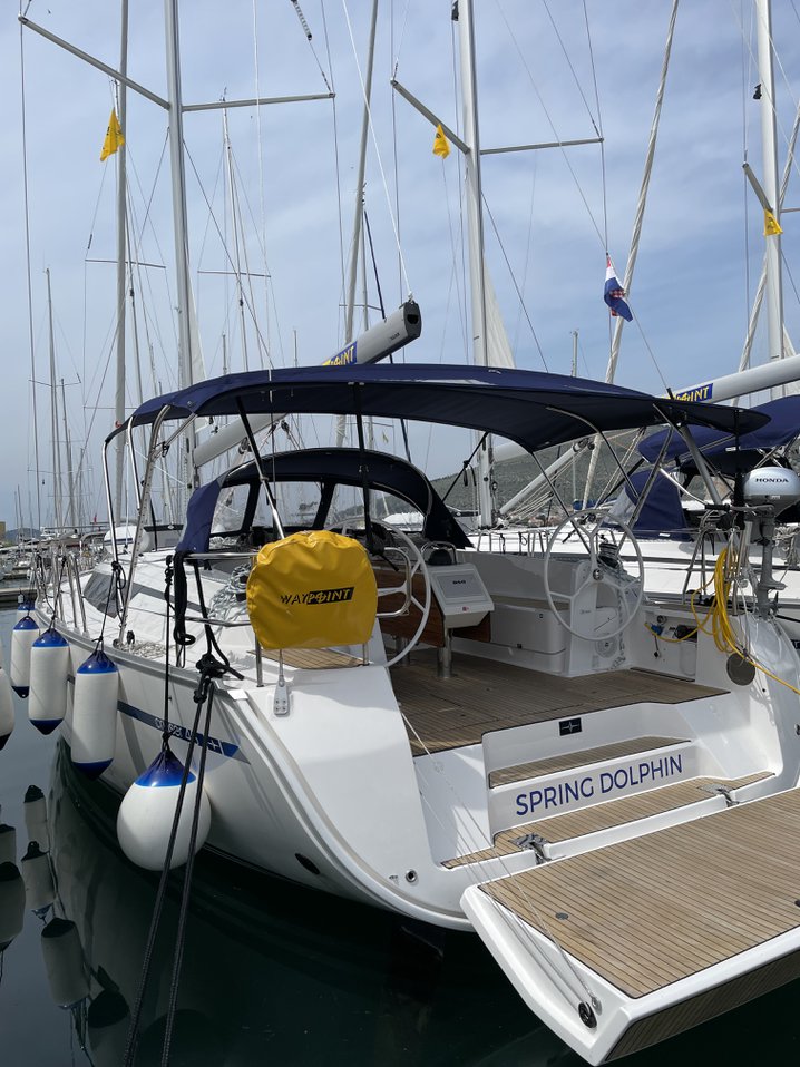 Spring Dolphin 5