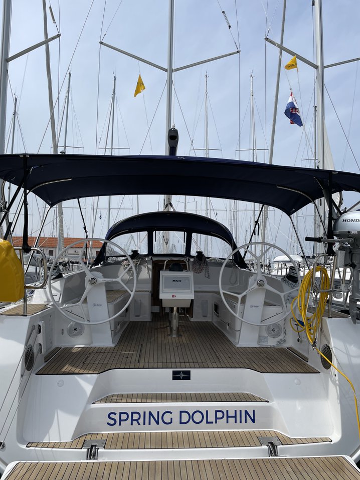 Spring Dolphin 2