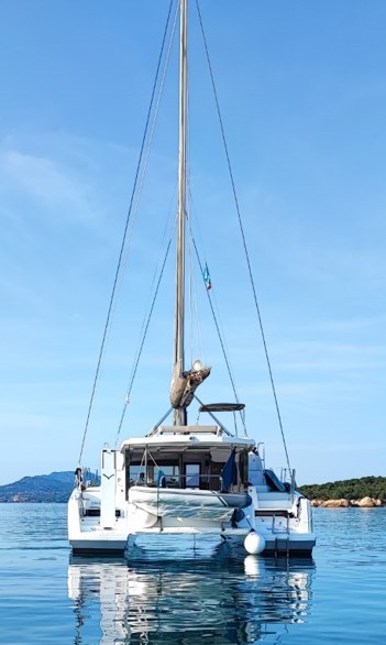 Ziphius 1