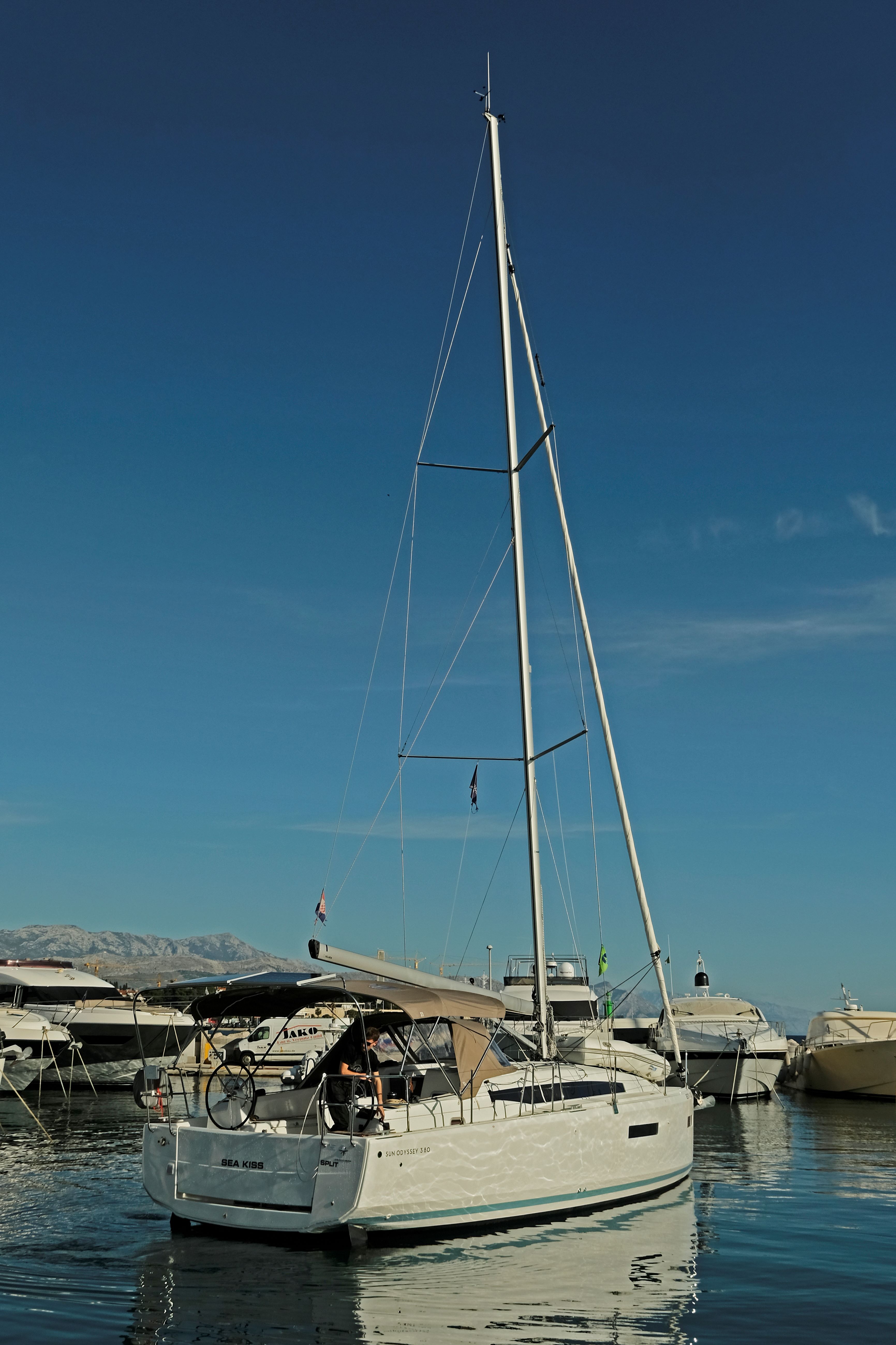 Sea Kiss 3