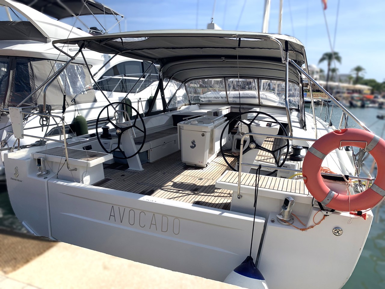 Avocado 1