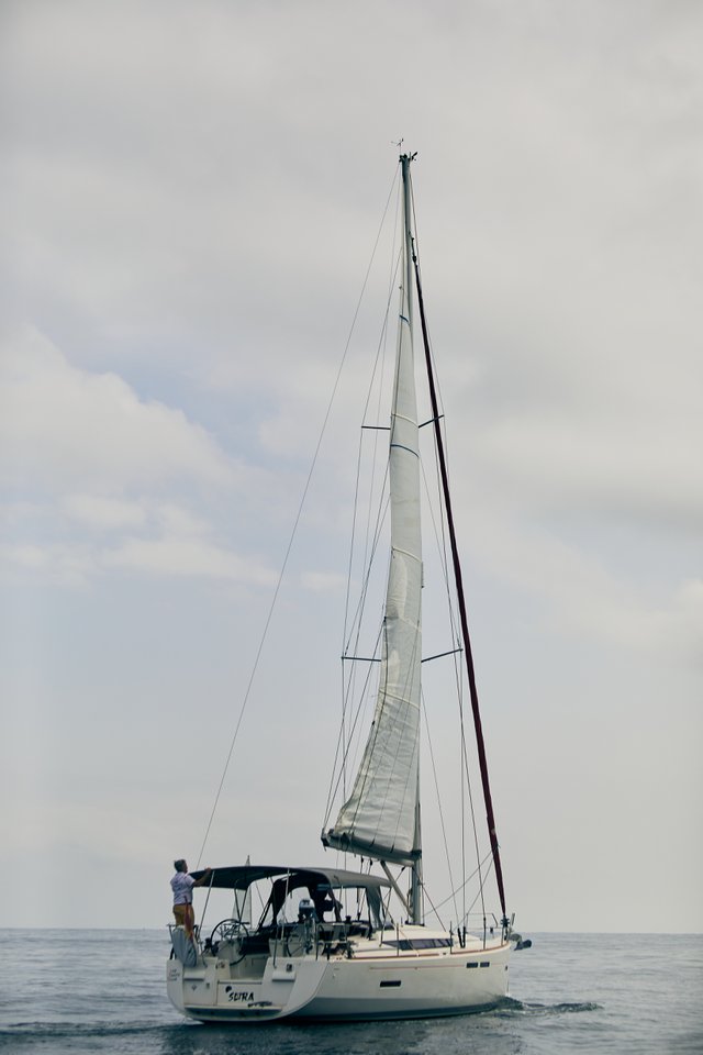 Sora 1