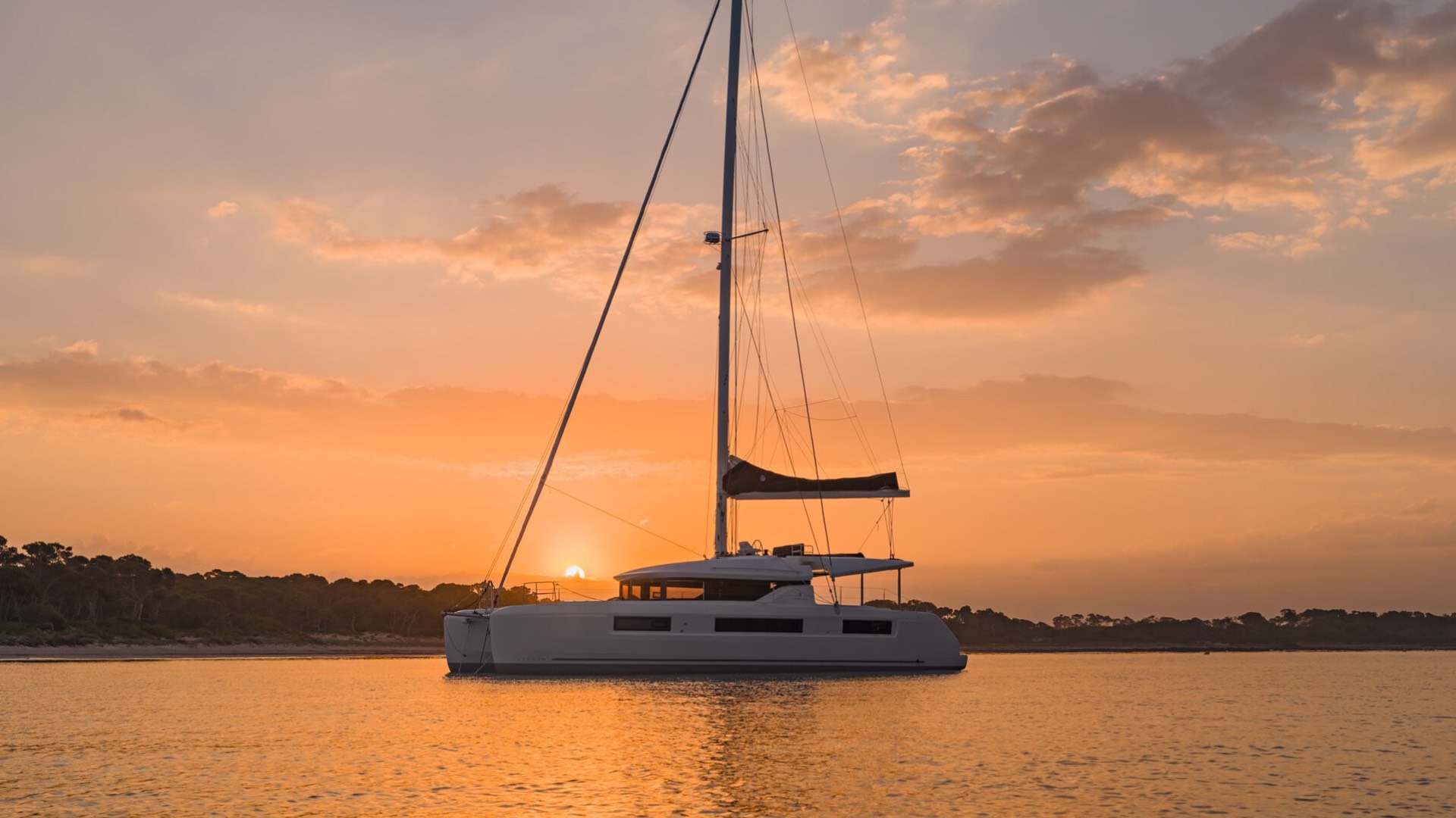 Nauti Cat 3