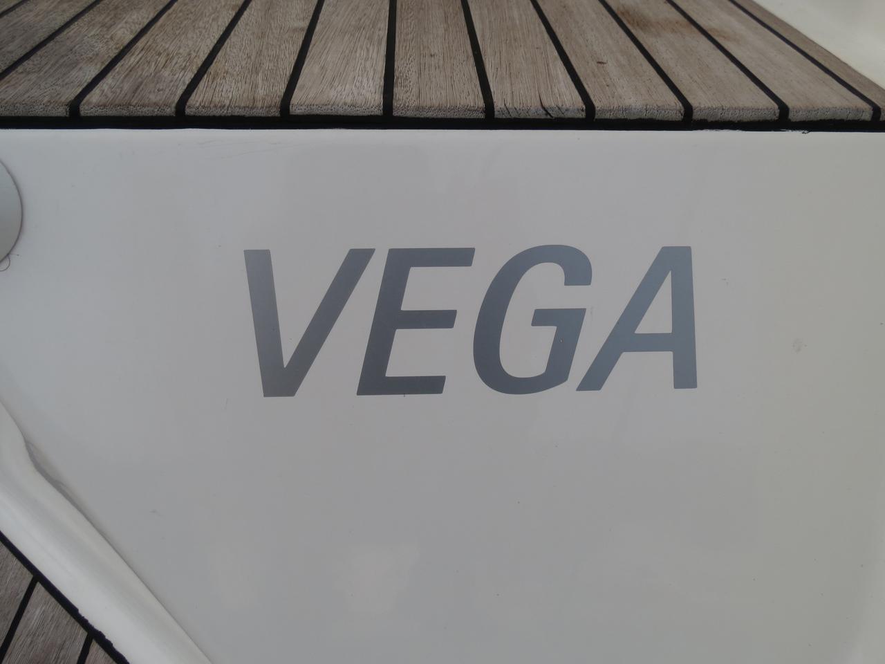 Vega 1