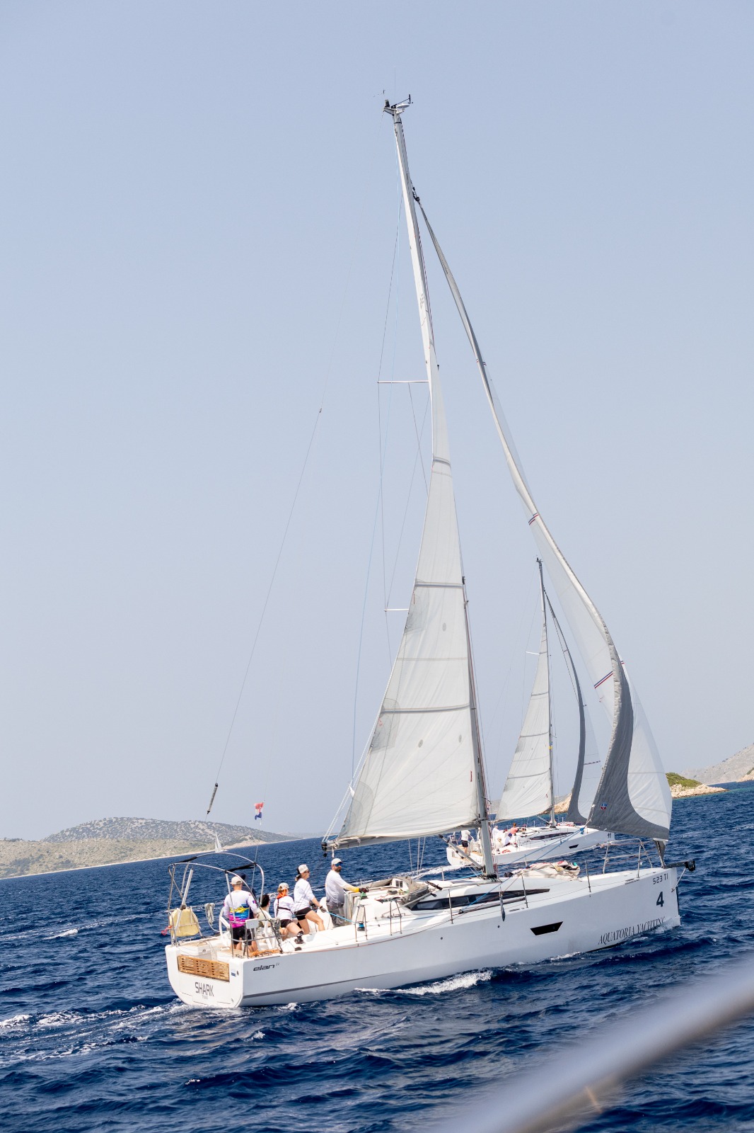 Shark 5
