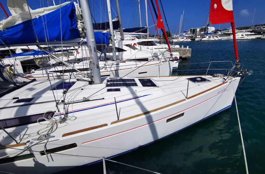 Phat Dolphin 1