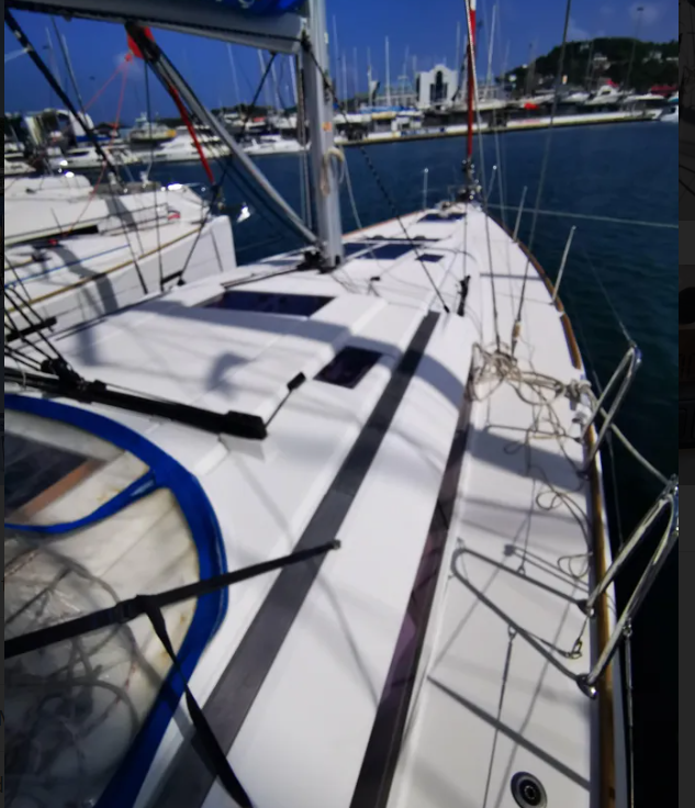 Phat Dolphin 2