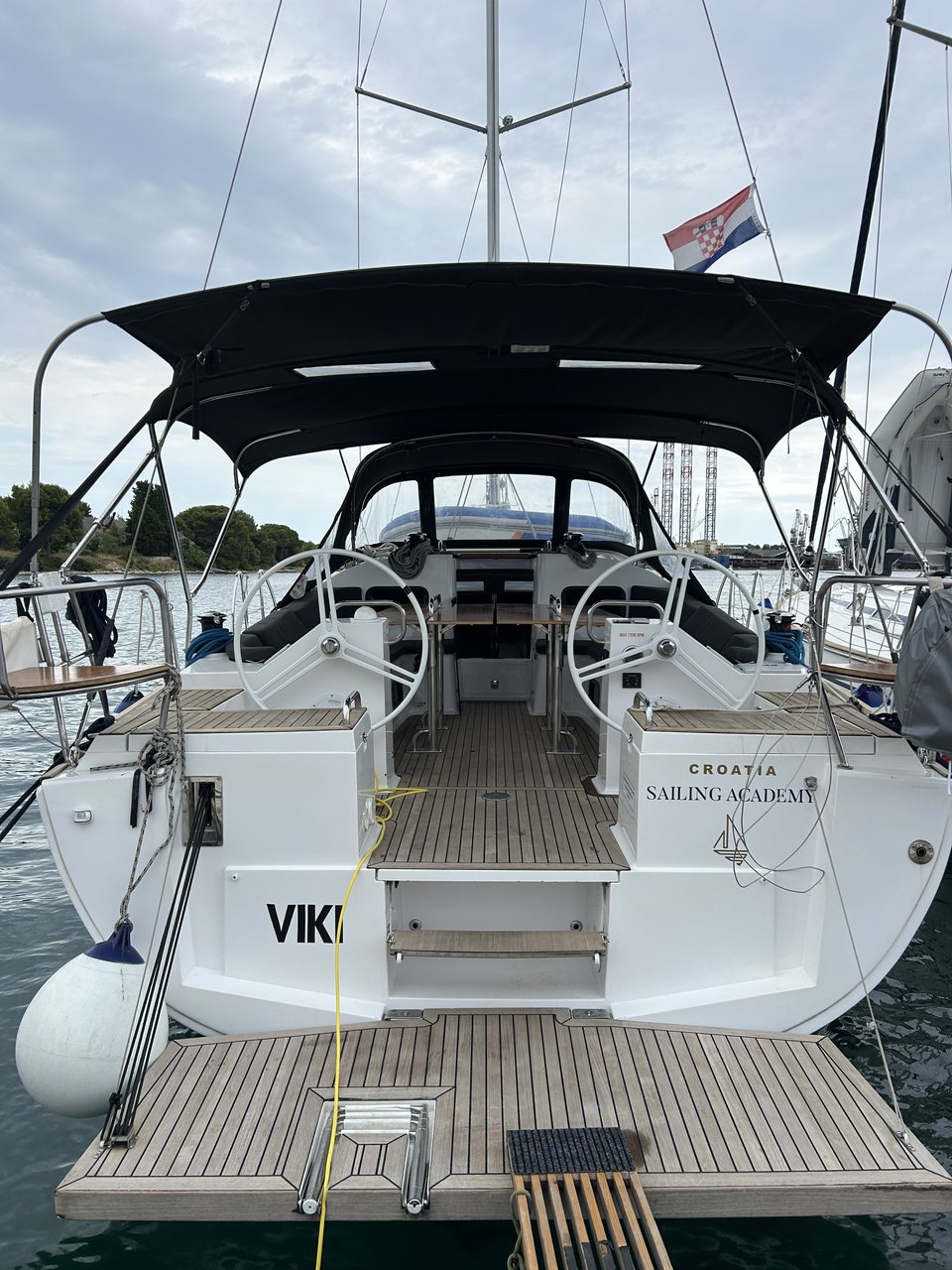 Viki 1
