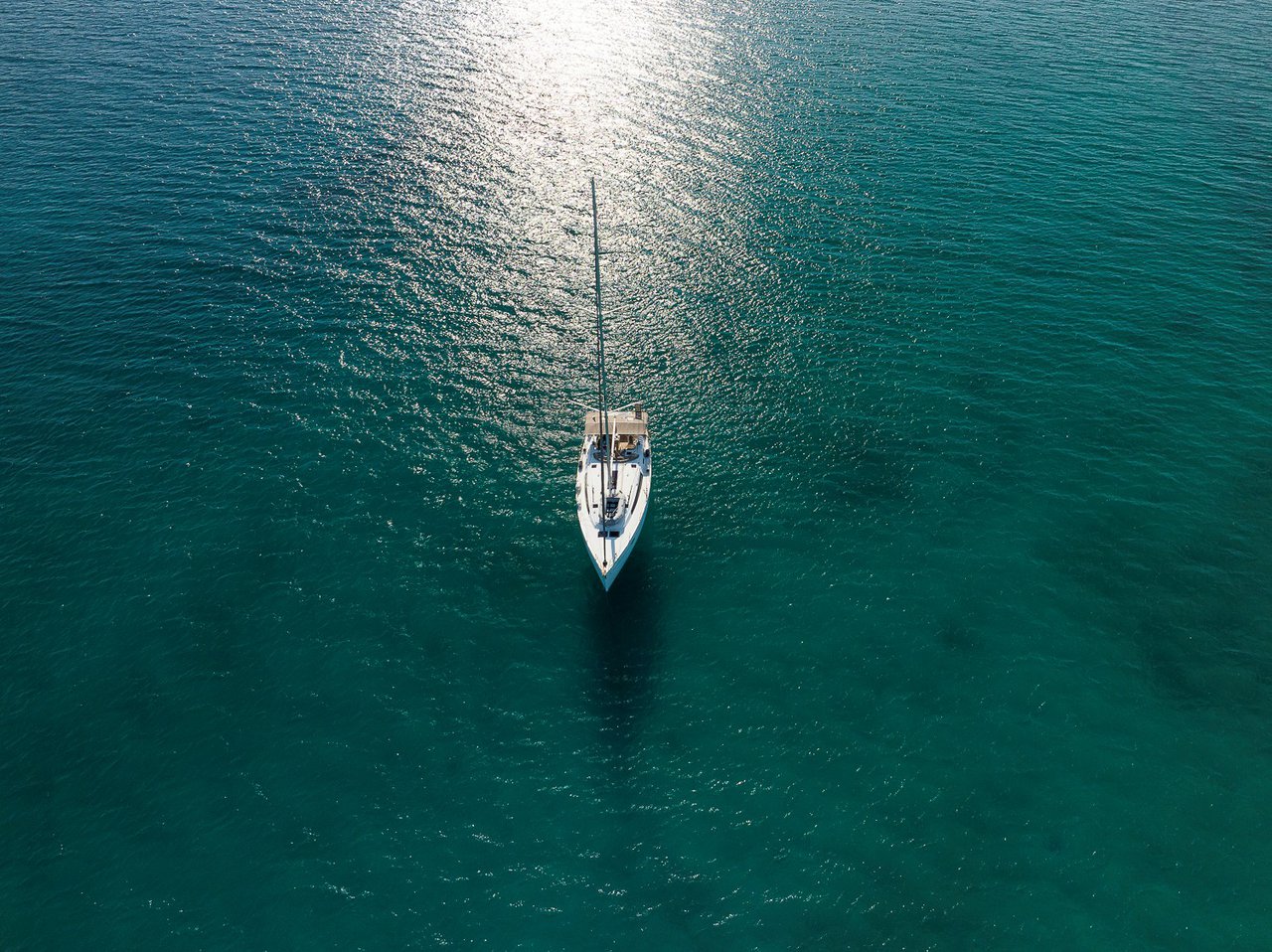 Sea Wonder I 2