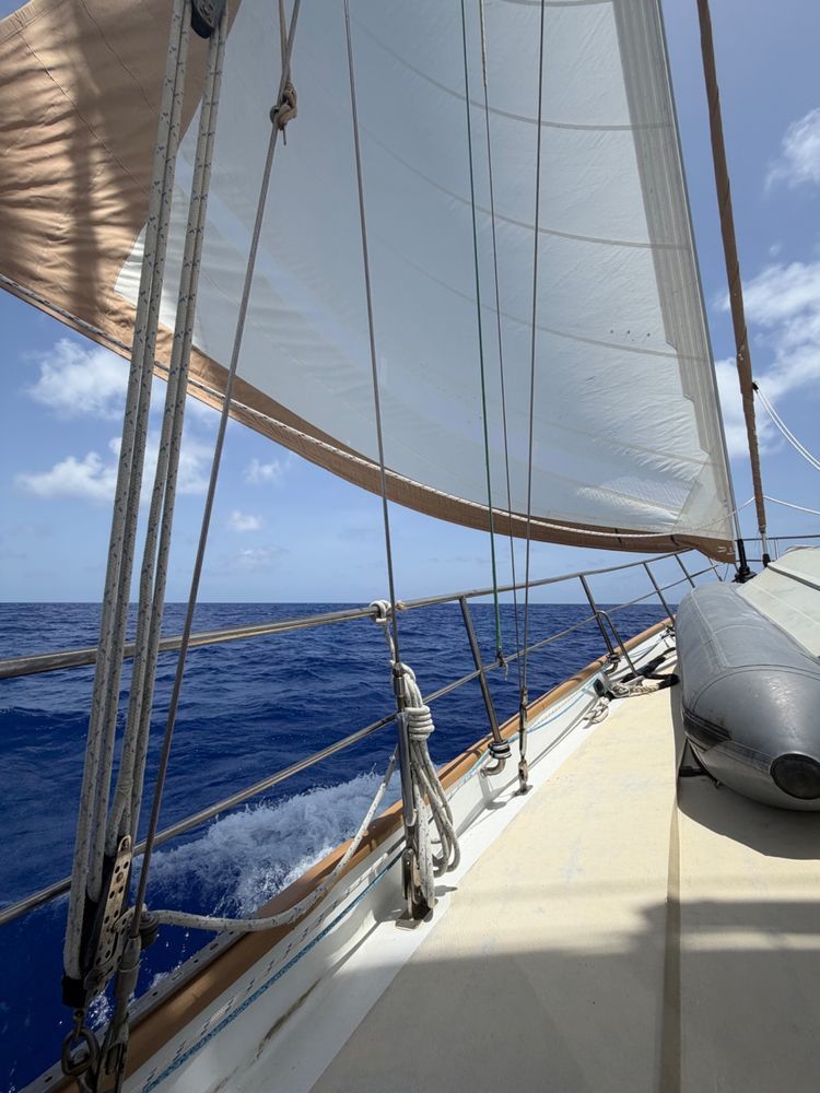 North Atlantic Intensive — Sint Maarten
