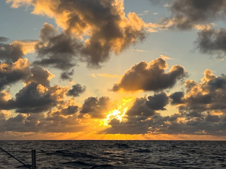 Pacific Crossing - California to Hawaii - Photo 6