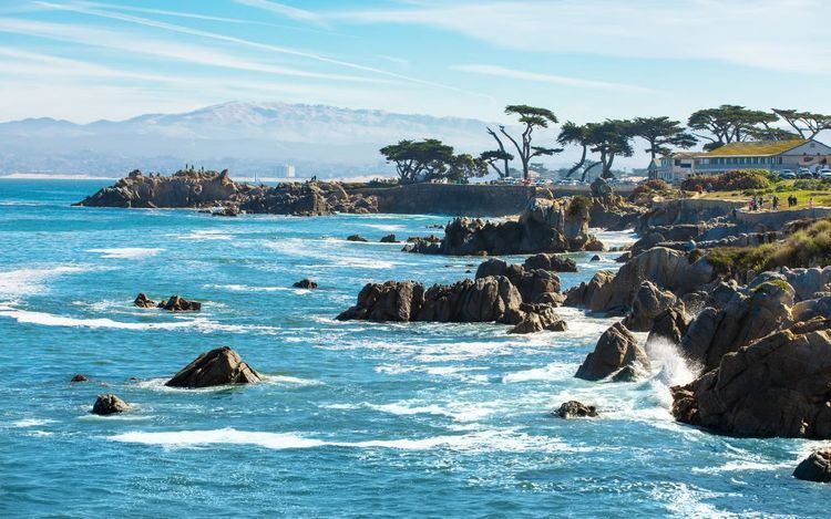 Pacific Crossing - California to Hawaii - Photo 7