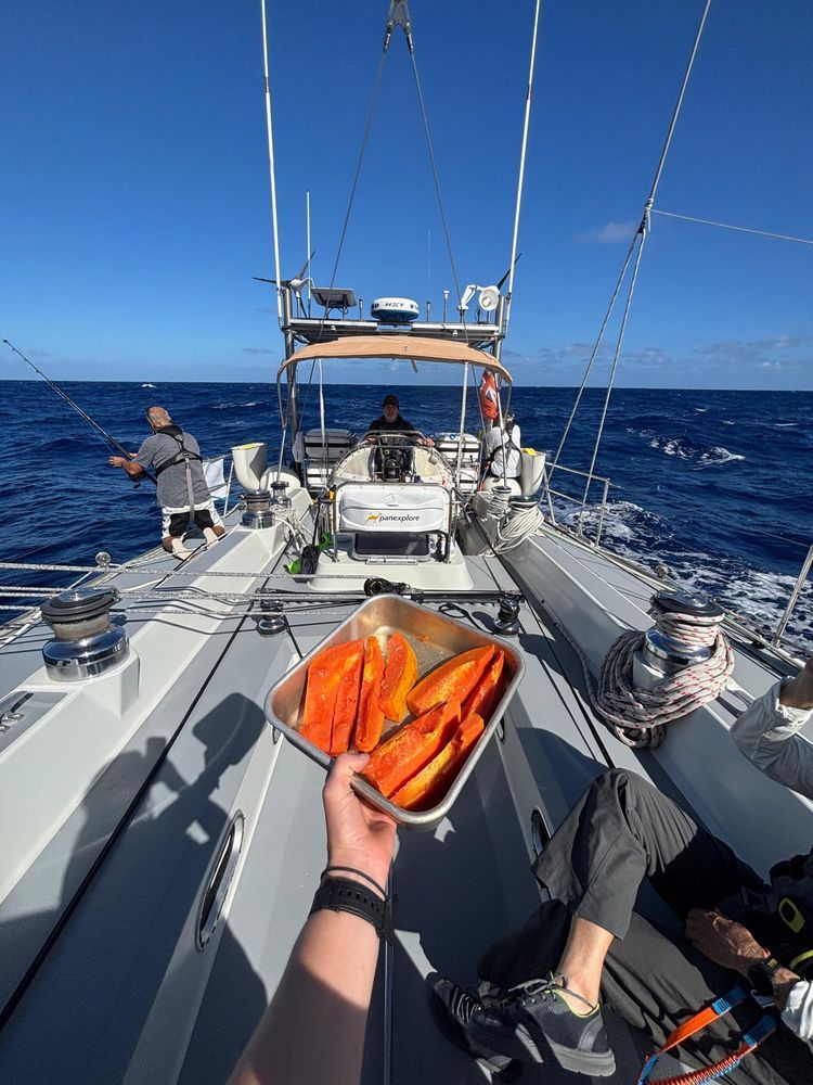 Across the Bay of Biscay | Portsmouth → Gran Canaria - Photo 5