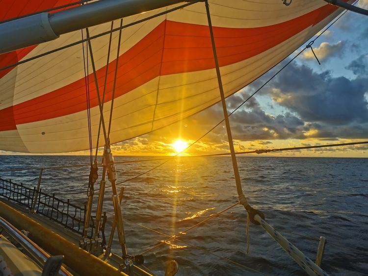 Landfall at Lady Liberty | Bermuda to New York - Photo 5