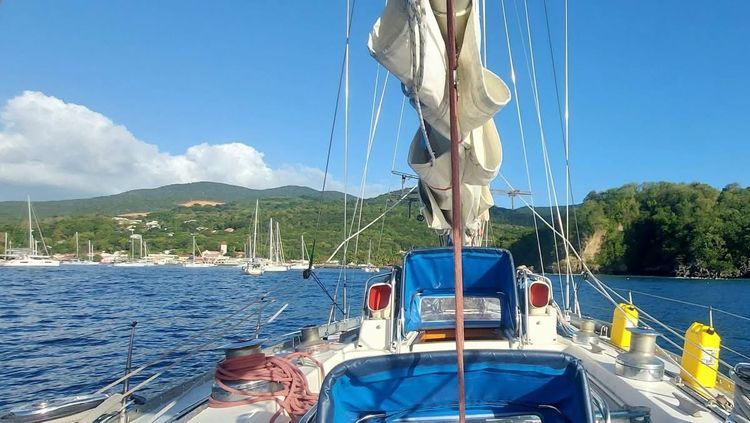 The Grenadines - Caribbean Christmas - Photo 2