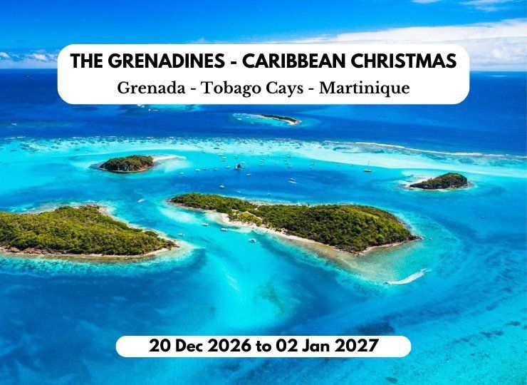 The Grenadines - Caribbean Christmas