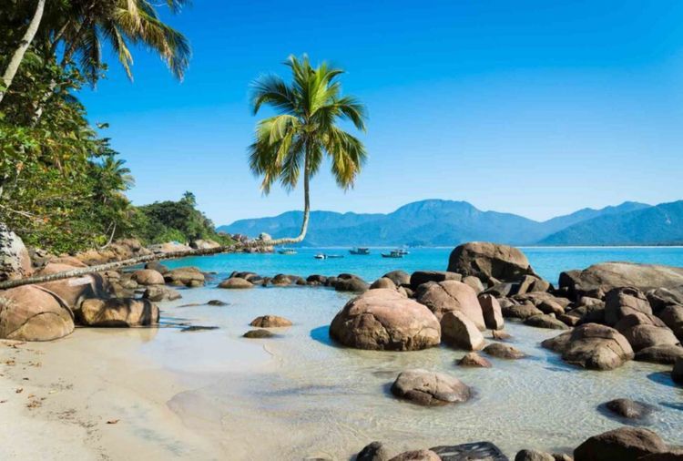 Bay of All Saints - Brazil - Photo 3