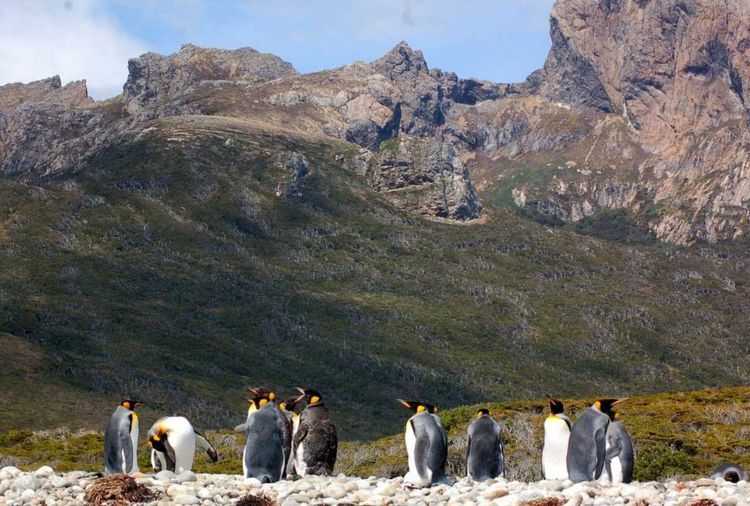 Extreme Heavy Weather 1800 - Patagonia - Photo 6