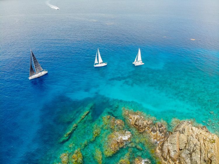 Antigua Sailing Week - Photo 9