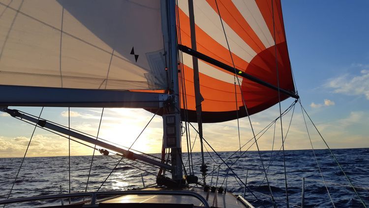  Round the Island Race - Photo 11