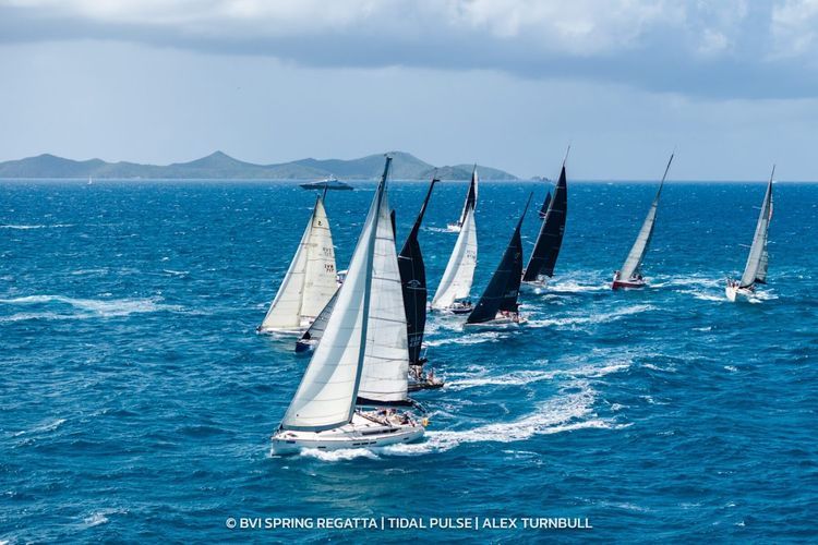BVI Spring Regatta - Photo 9