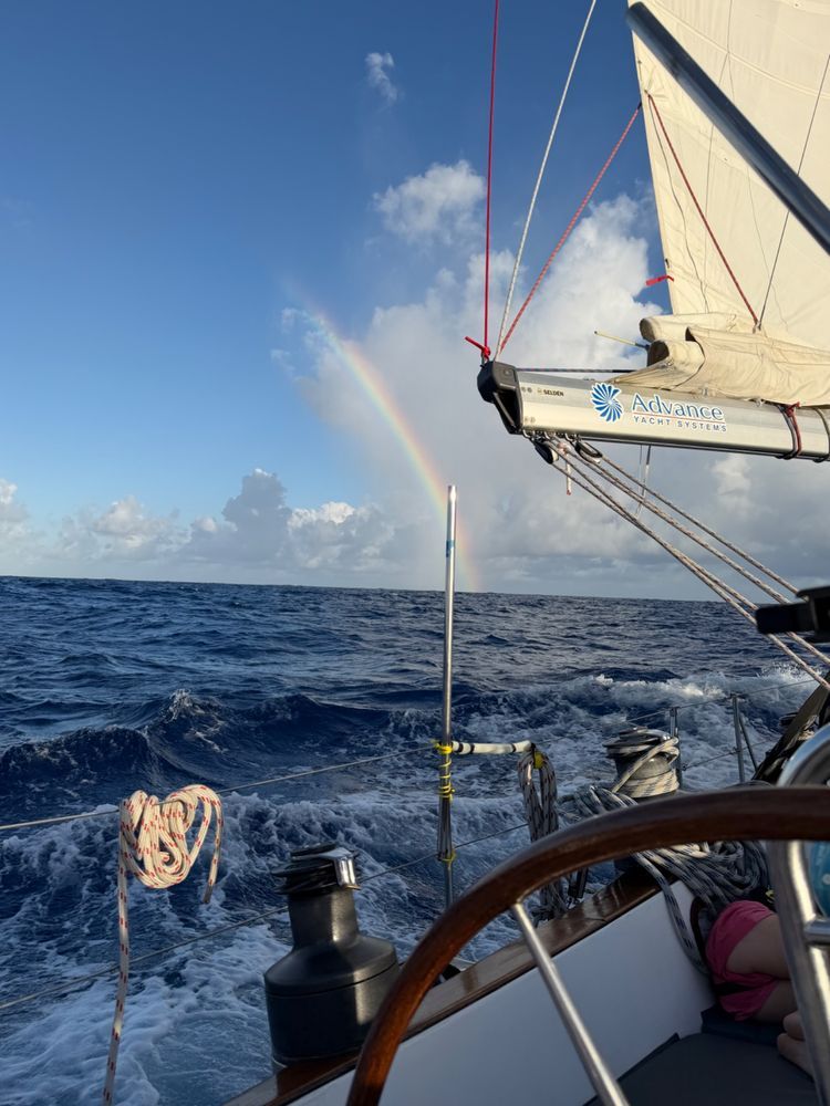 The Atlantic Homecoming Voyage – West to East - Photo 4