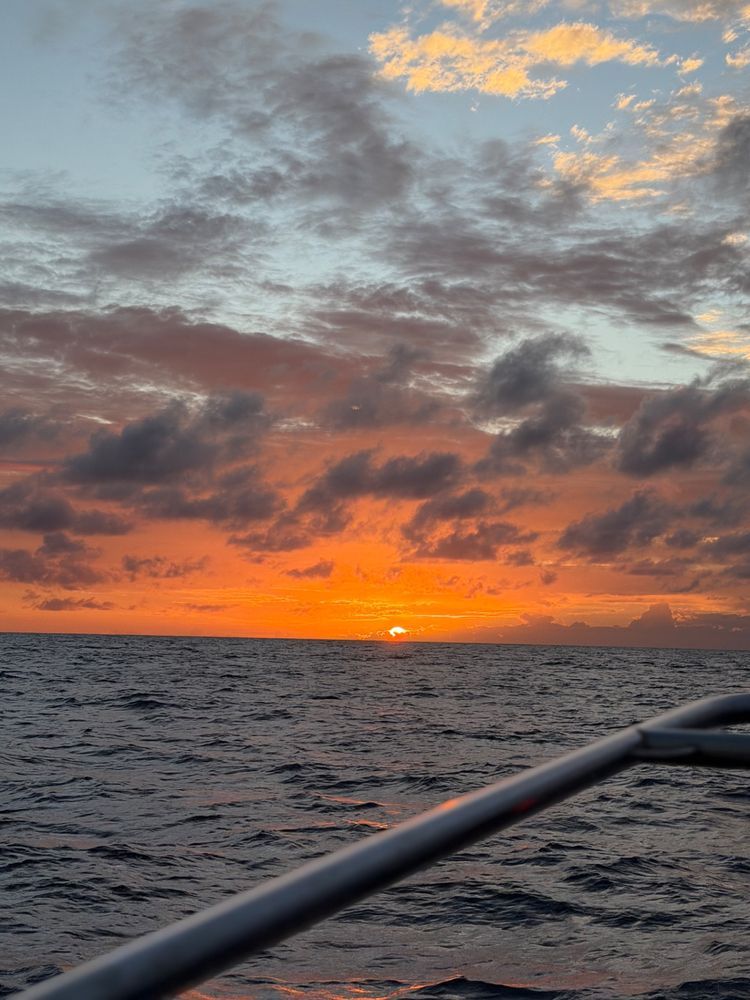 The Atlantic Homecoming Voyage – West to East - Photo 5