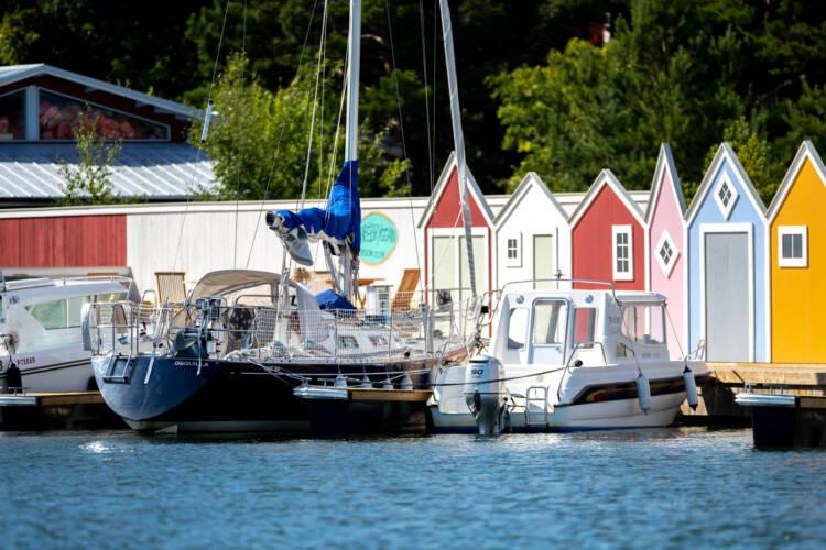 Högsåra