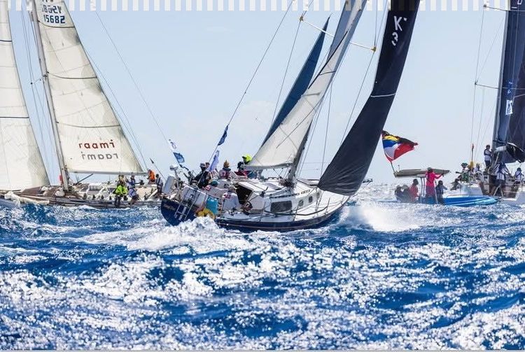 Antigua Sailing Week - Photo 4