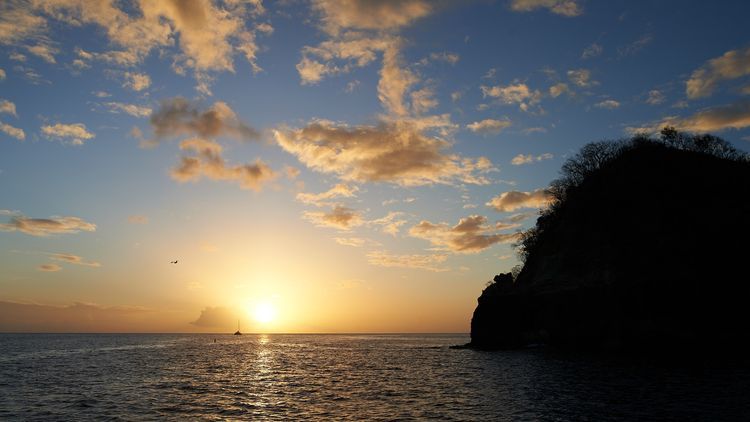 St. Vincent & Grenadines Expedition — Tobago Cays (3 Nights in Paradise)