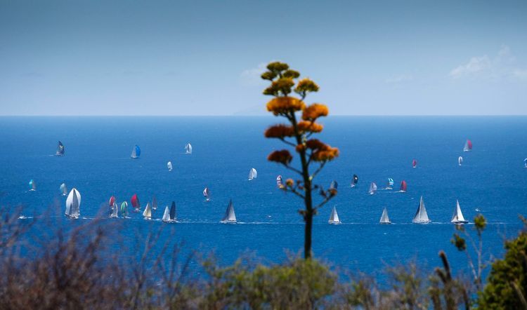 Antigua Sailing Week - Photo 4