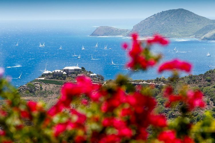Antigua Sailing Week - Photo 5